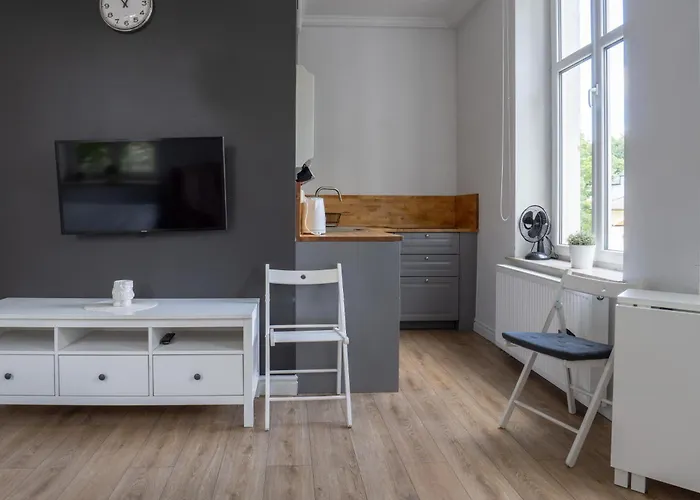 Apartamento Viu Haffnera 21 - *